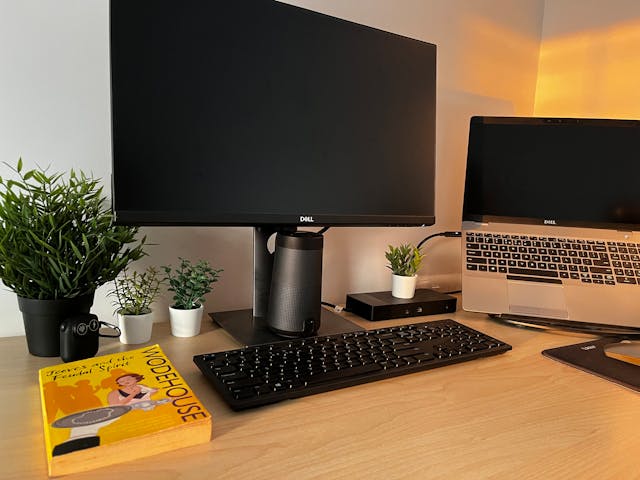 Product view 5