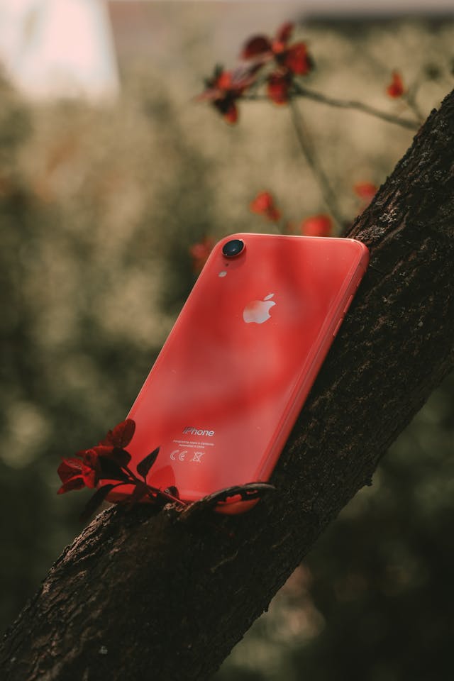 Product view 6