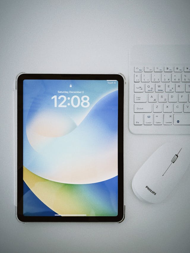 Product view 4