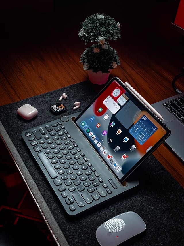 Product view 4